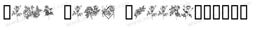 Rose Gold Groovy字体转换